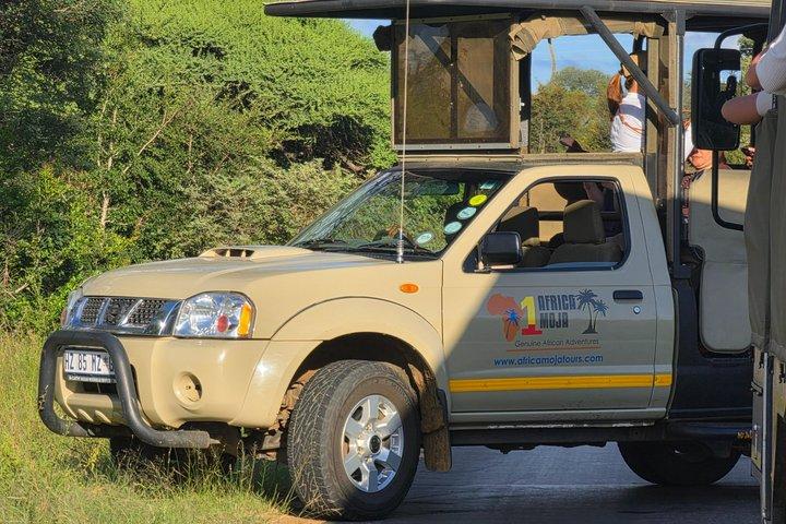 Kruger National Park. 3 Days Best Ever Safari from Cape Town