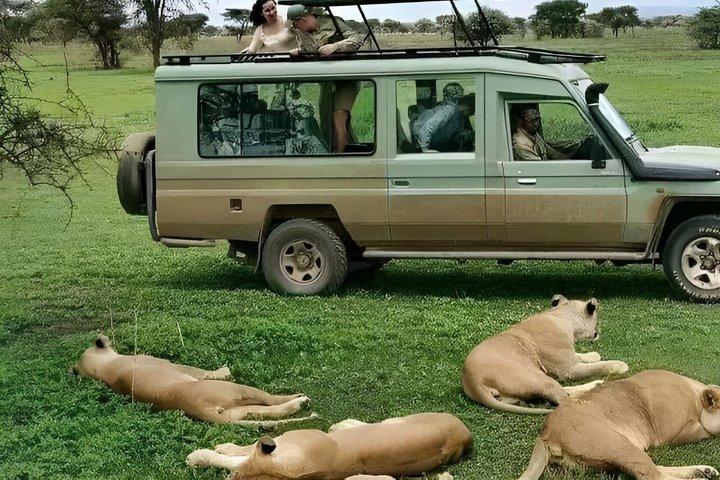 Day Trip To Mikumi National Park From Dar es salaam by Sgr train