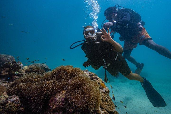 Phuket: Scuba Diving for Beginner (Shore dive in Kata beach)