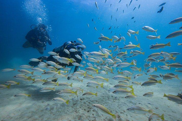 Phuket: Scuba Diving for Beginner (Shore dive in Kata beach)