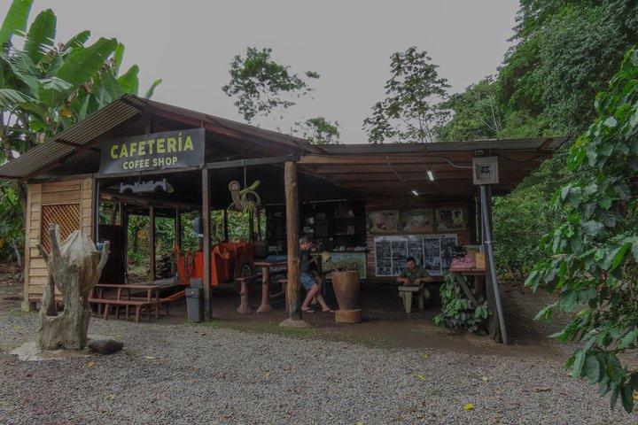 Coffee, Chocolate and Sugarcane Tour La Fortuna