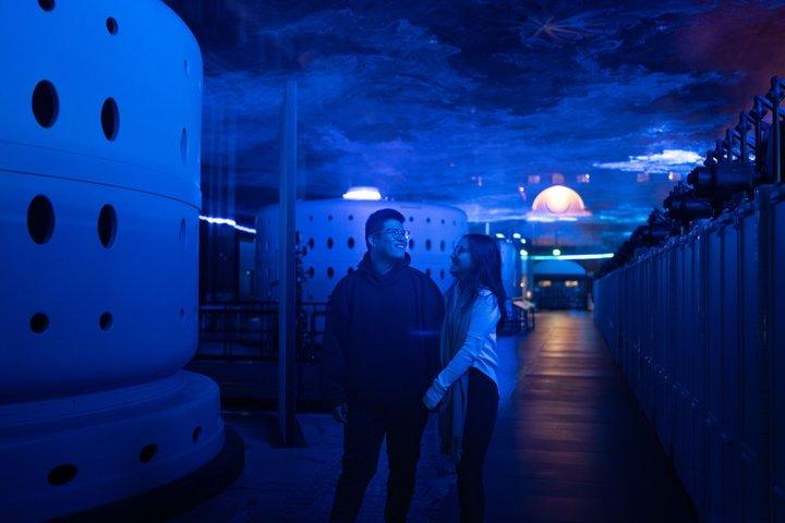 Niagara Falls Tour: Power Station, Illumination Tower & Dinner