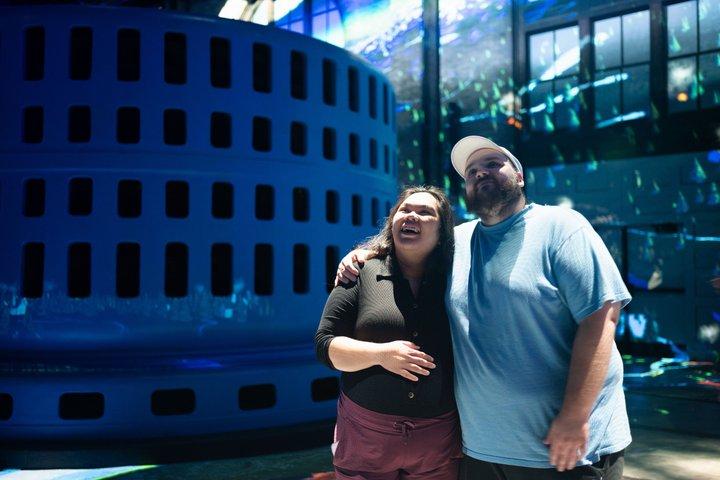 Niagara Falls Tour: Power Station, Illumination Tower & Dinner