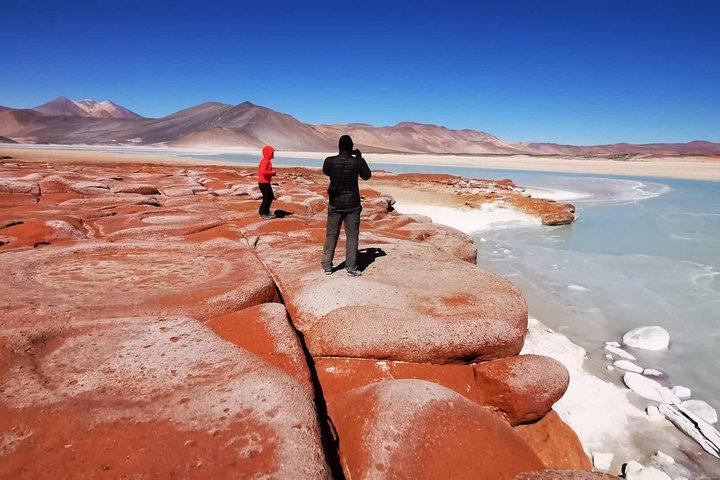 Piedras Rojas Tour Explore Altiplanic Lagoons and Chaxa