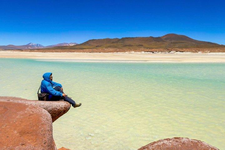 Piedras Rojas Tour Explore Altiplanic Lagoons and Chaxa
