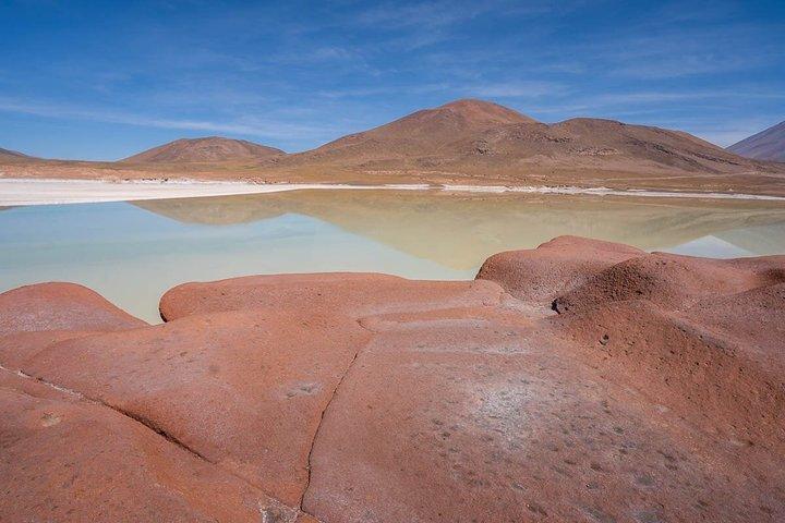 Piedras Rojas Tour Explore Altiplanic Lagoons and Chaxa