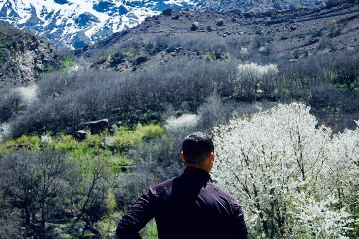 High Atlas Berber villages & Dromadair backpacking