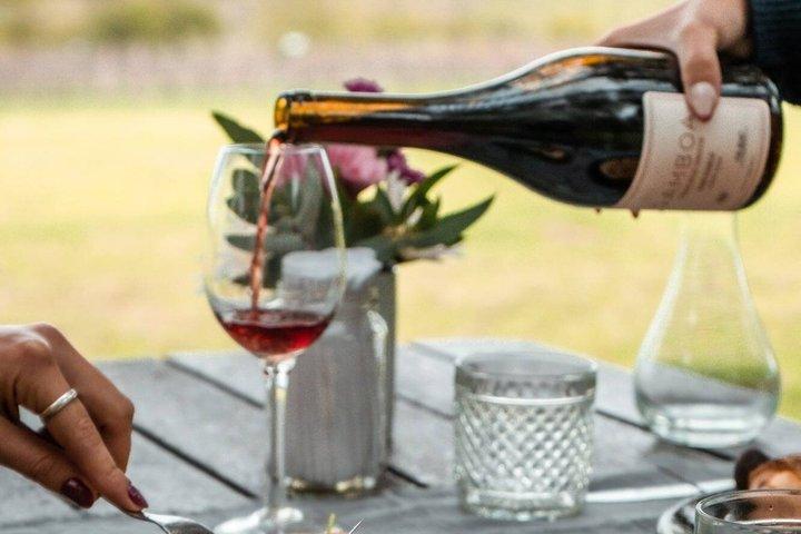 Winery with Lunch 1 h from Buenos Aires Casa Gamboa