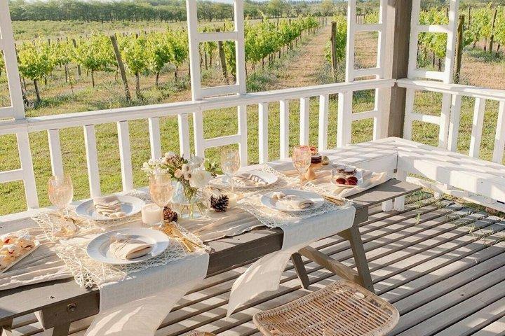 Winery with Lunch 1 h from Buenos Aires Casa Gamboa