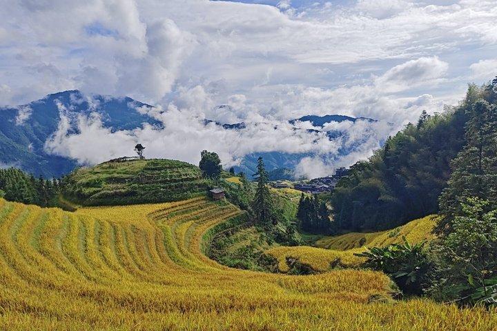 Longji Rice Terraces with longhair Village Private Day Tour
