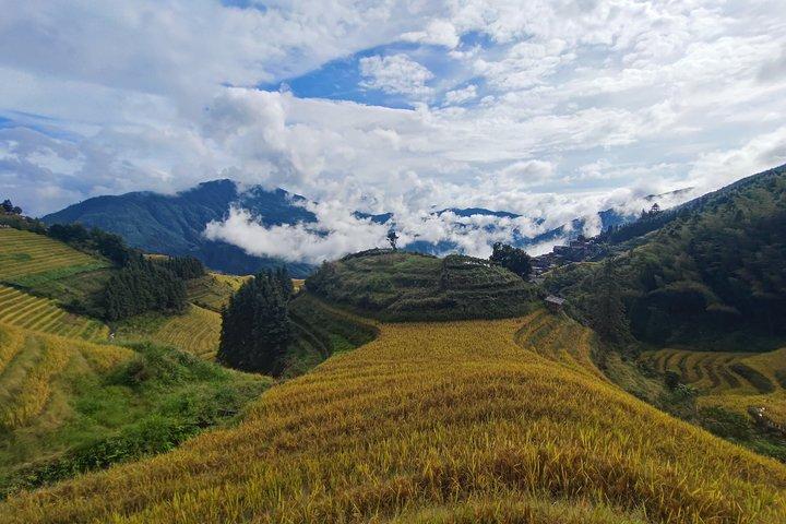 Longji Rice Terraces with longhair Village Private Day Tour