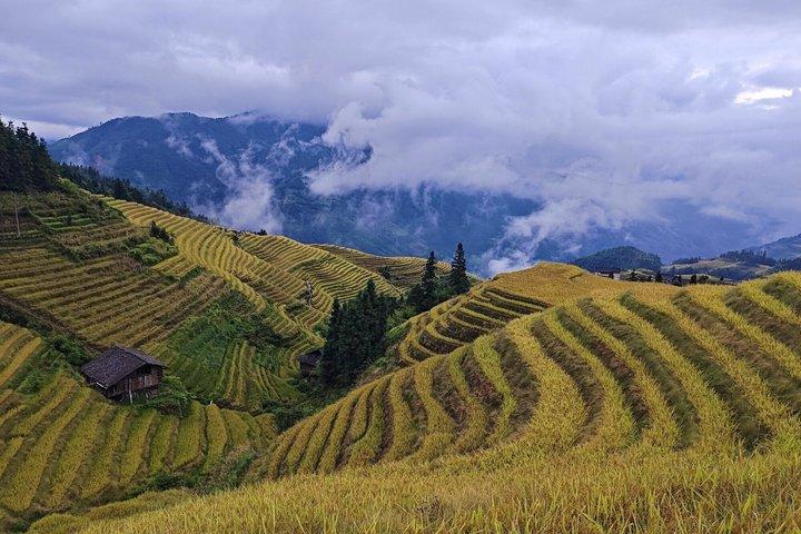 Longji Rice Terraces with longhair Village Private Day Tour
