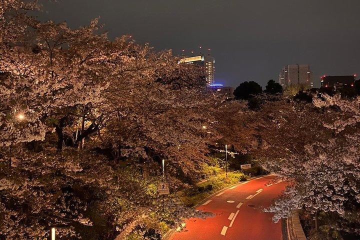 2-Hr Tokyo Night Bike Tour: Shibuya, City Lights & Tokyo Tower