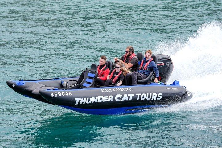 Phillip Island High Speed Sea Caves Boat Tour with Seal Sighting