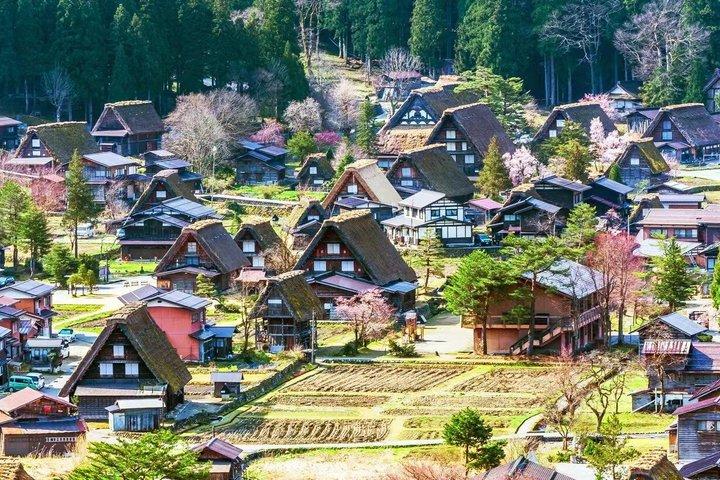 1 Day Tour of Shirakawa Go A Historic Village in Hida Takayama