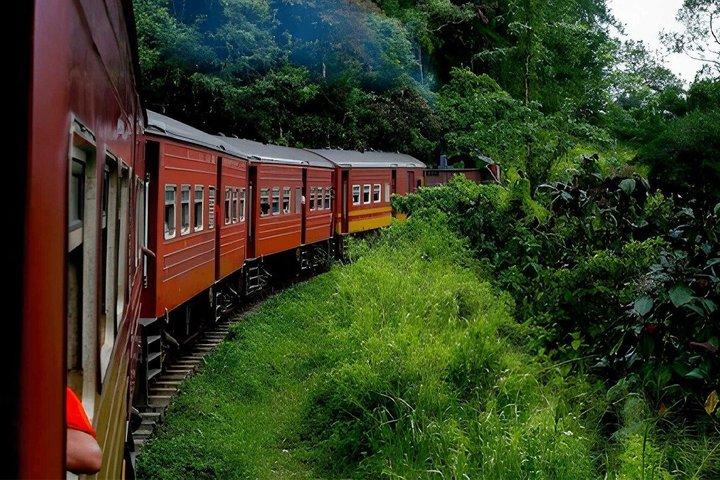 Ella to Ambewela train ride on (Train № 1005/1015)