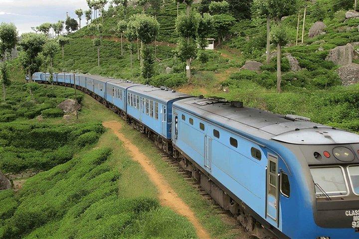 Ella to Ambewela train ride on (Train № 1005/1015)