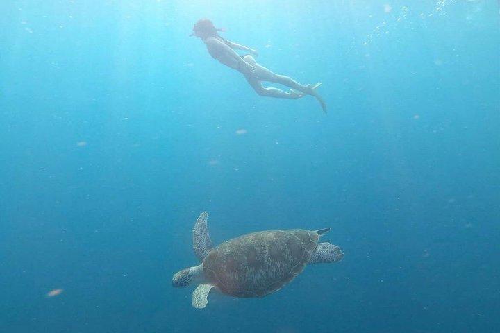 Private Gili Snorkelling Tour: Turtles & Reefs + GoPro + Drinks