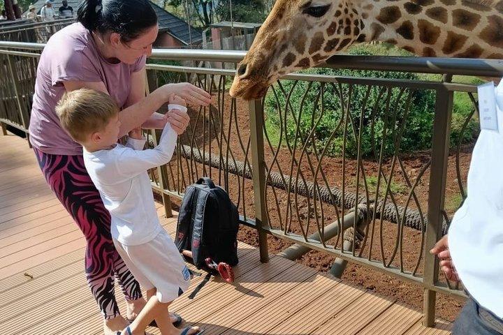 Karen Blixen, Wildlife and Giraffe Centre Tour