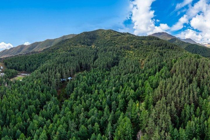 Full Day Tour in Nature Chunkurchak and Ala Archa
