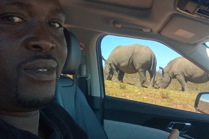 Big Five Game Safari and Afternoon Buffet Experience