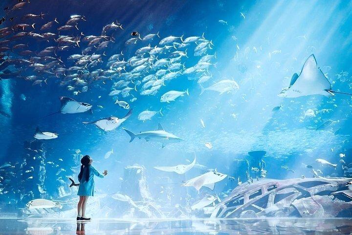 Lost World Aquarium Ticket in Atlantis Dubai