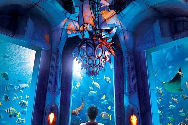 Lost World Aquarium Ticket in Atlantis Dubai