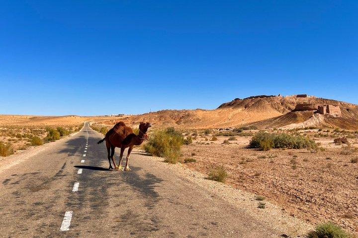 One night in desert and fortresses