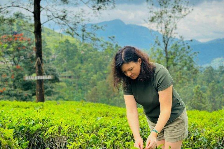 Kandy Full Day Tuk Tuk Tour City Highlights and Scenic Views