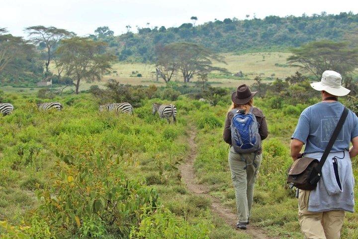 Mount Longonot Hiking Adventure From Nairobi