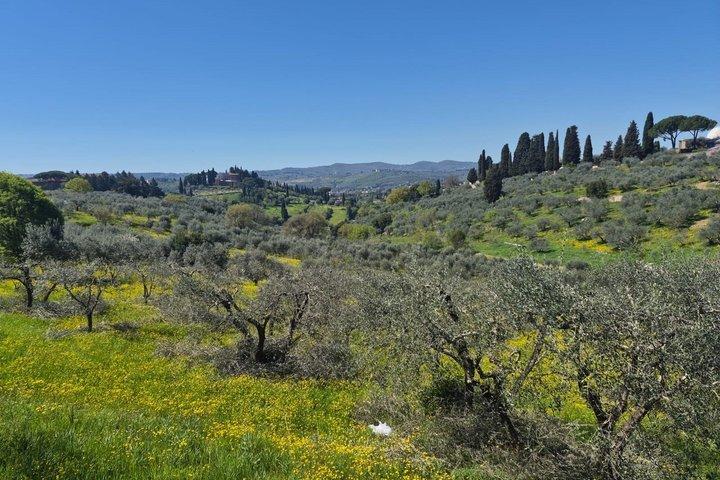 Private Golfcart Tour of Florence Hills Piazzale Michelangelo