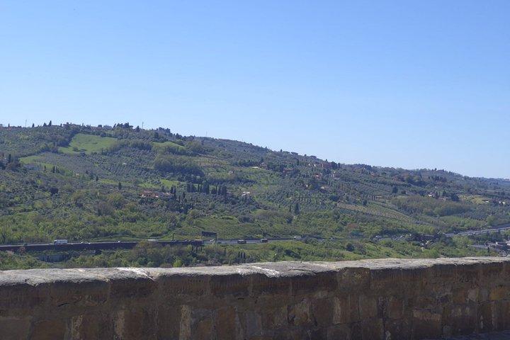 Private Golfcart Tour of Florence Hills Piazzale Michelangelo