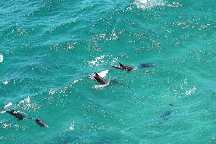 Sydney Northern Beaches Private Tour | Palm Beach & Ku-ring-gai