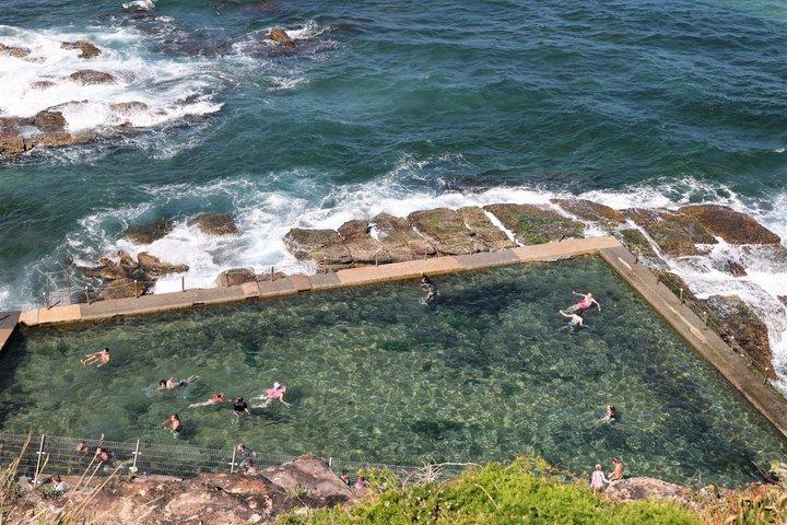 Sydney Northern Beaches Private Tour | Palm Beach & Ku-ring-gai