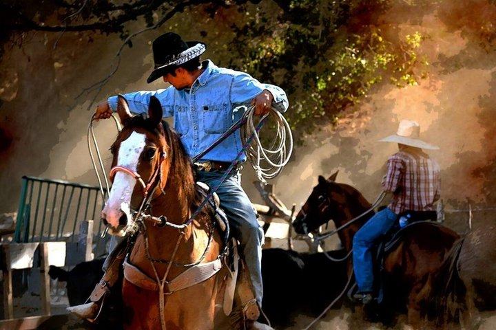 Mountain Horseback Echo Canyon+ Taco Stop Shore Excursion Private