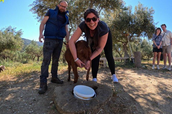 Full-Day Small-Group Tour in Crete with Zeus Cave Visit