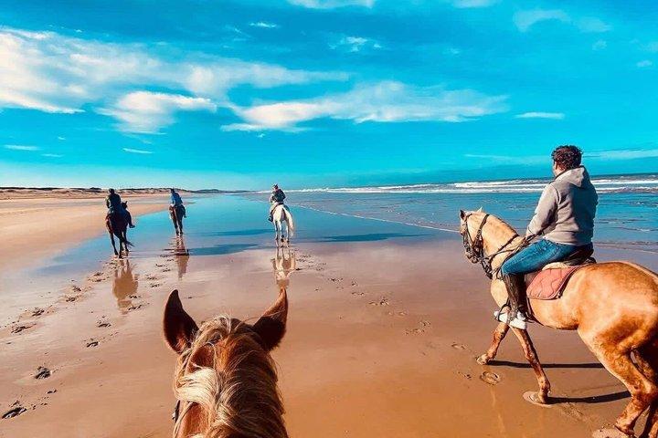 Agadir: Horseback Riding Beach Experience with Hotel pick-up