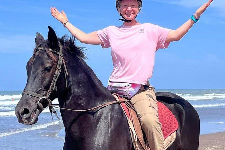 Agadir: Horseback Riding Beach Experience with Hotel pick-up