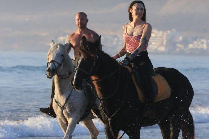 Agadir: Horseback Riding Beach Experience with Hotel pick-up