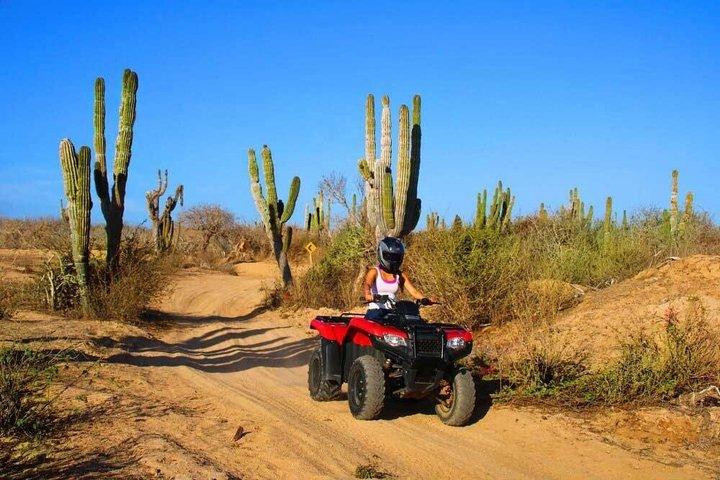 From Desert to Sky Ultimate ATV and Sky Bike Adventure in Cabo
