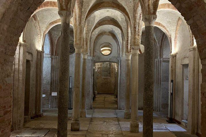 Leonardo da Vinci in Milan Guided Tour Among the Hidden Secrets