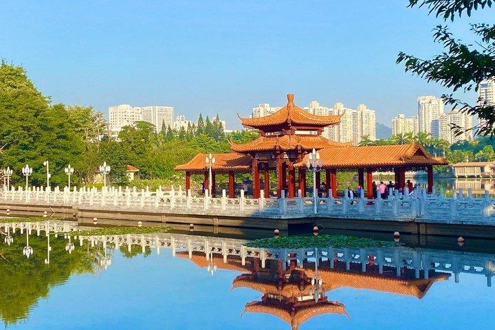 Hong Kong to Shenzhen Full-Day Tour | Train & Dim Sum with Lunch