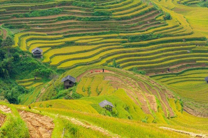 Vietnam & Cambodia in 16 Days: Halong Bay, Angkor Wat & more
