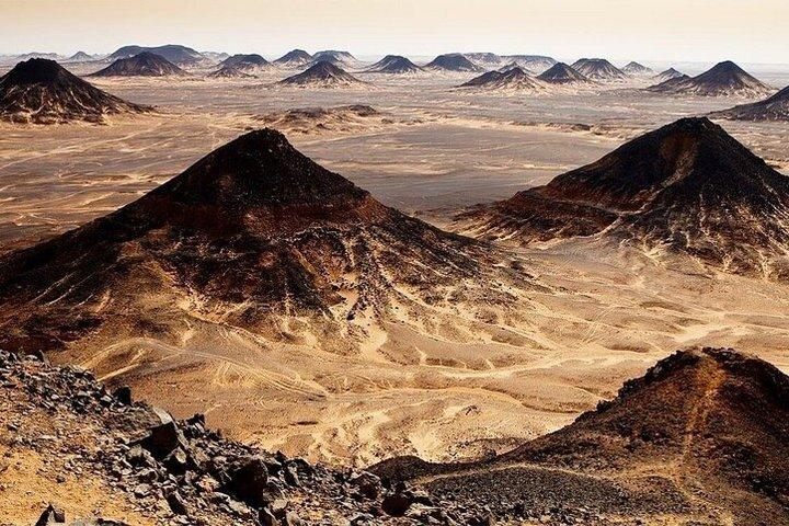 2Days Safari Experience White Desert Camping Adventure from Cairo