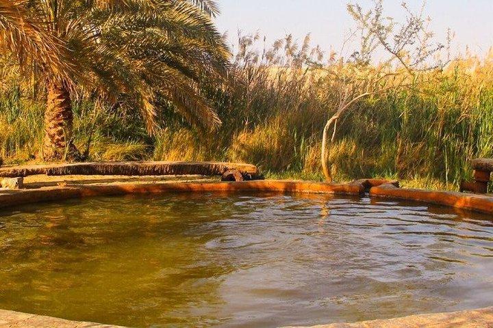 2Days Safari Experience White Desert Camping Adventure from Cairo