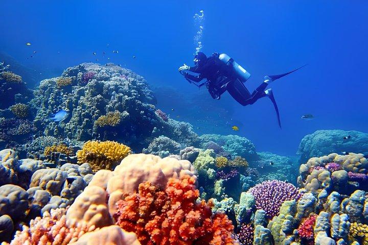 Tangier to Belyounech Private Scuba Diving Adventure