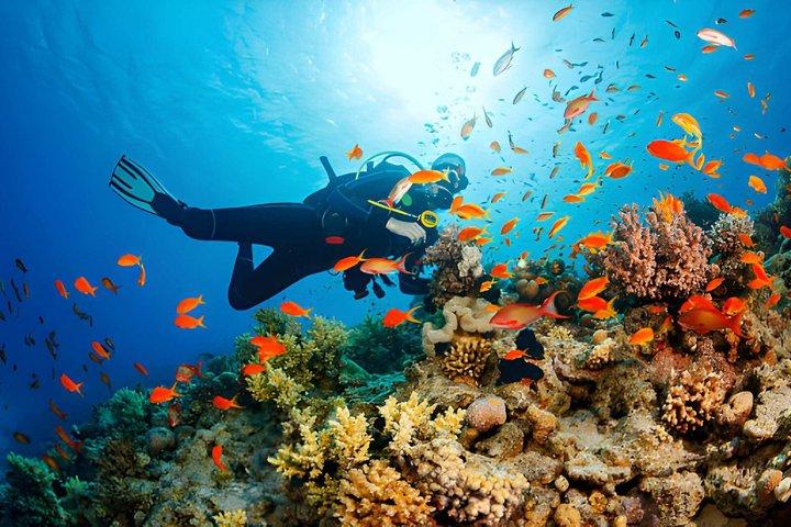 Tangier to Belyounech Private Scuba Diving Adventure
