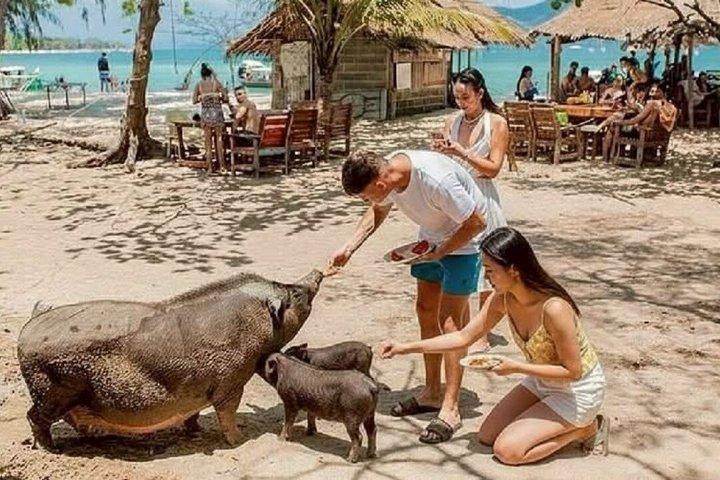 Samui Viewpoint Elephant Pig Island and Snorkeling with Lunch