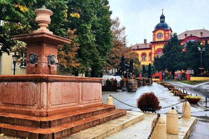 Novi Sad and Sremski Karlovci Tour from Belgrade