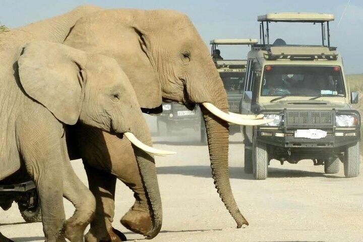 4-Day Masai Mara and Hell Gates Classic Safari